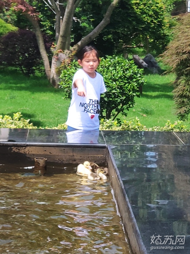 tmp_547d5efc1502ef6671a9cd962b51660a651204018454ddb8.jpg