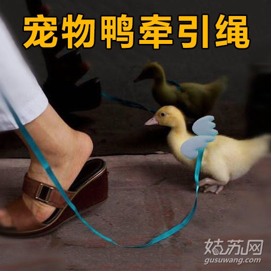 tmp_6e02905721c7fa92e90eb63c56d267c6bb9edce46372c253.jpg